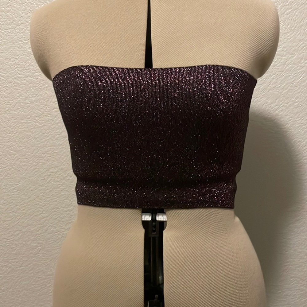 New Zara Sparkly Tube Top